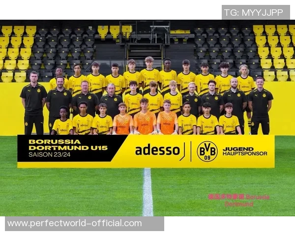 友谊赛精彩回顾:多特蒙德与那不勒斯战成平局乌龙球引发全场欢呼